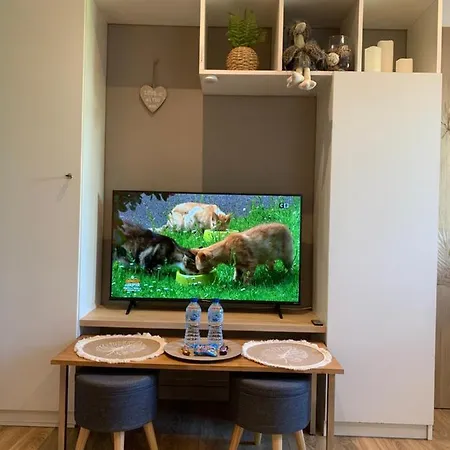 Type Apartment